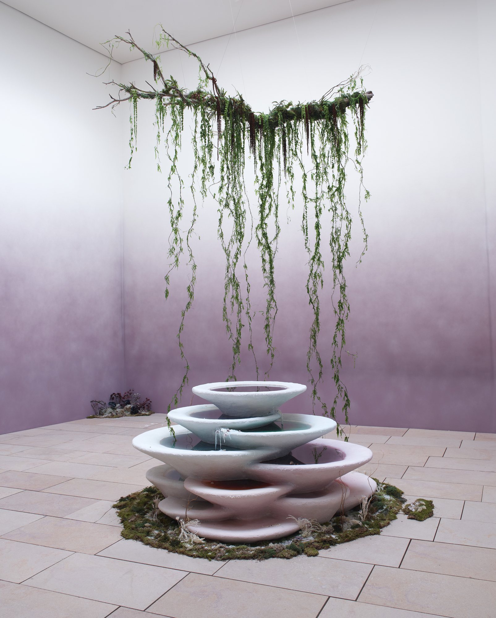 The Daydream — installation view