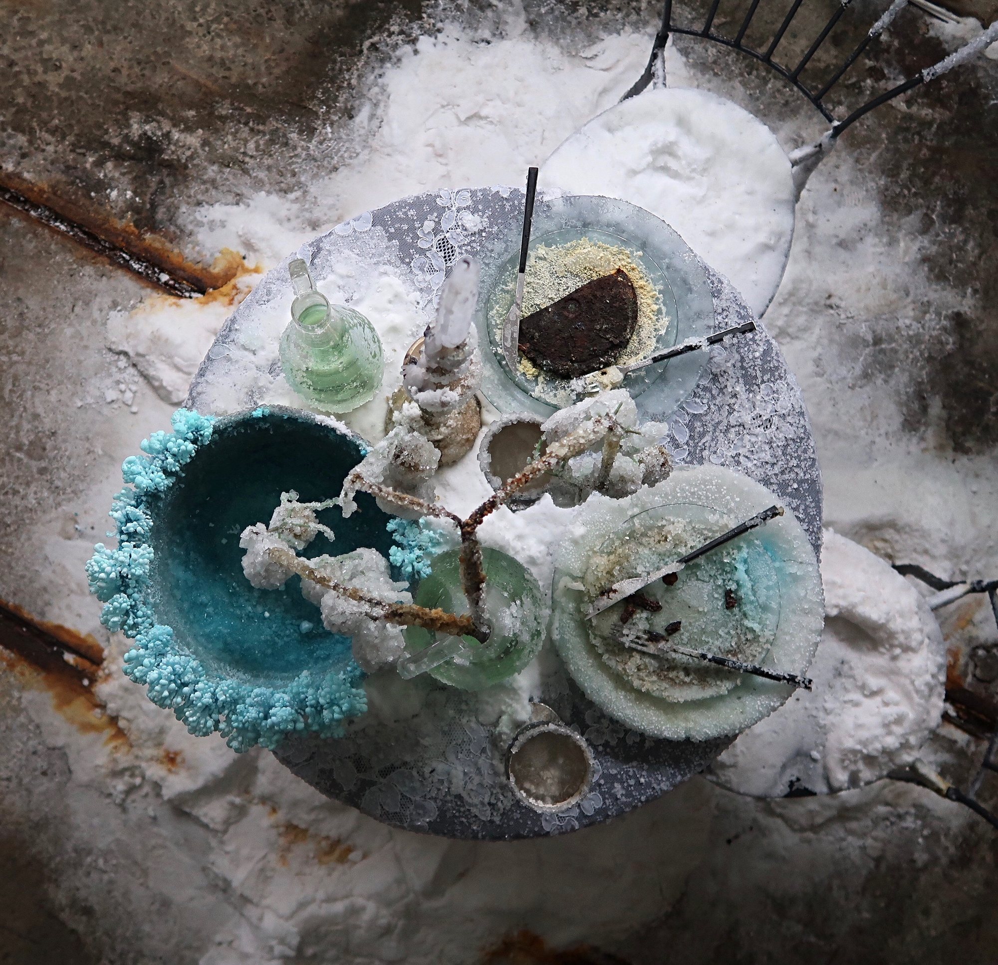 The Private Lives of Non-Human Entities — installation view