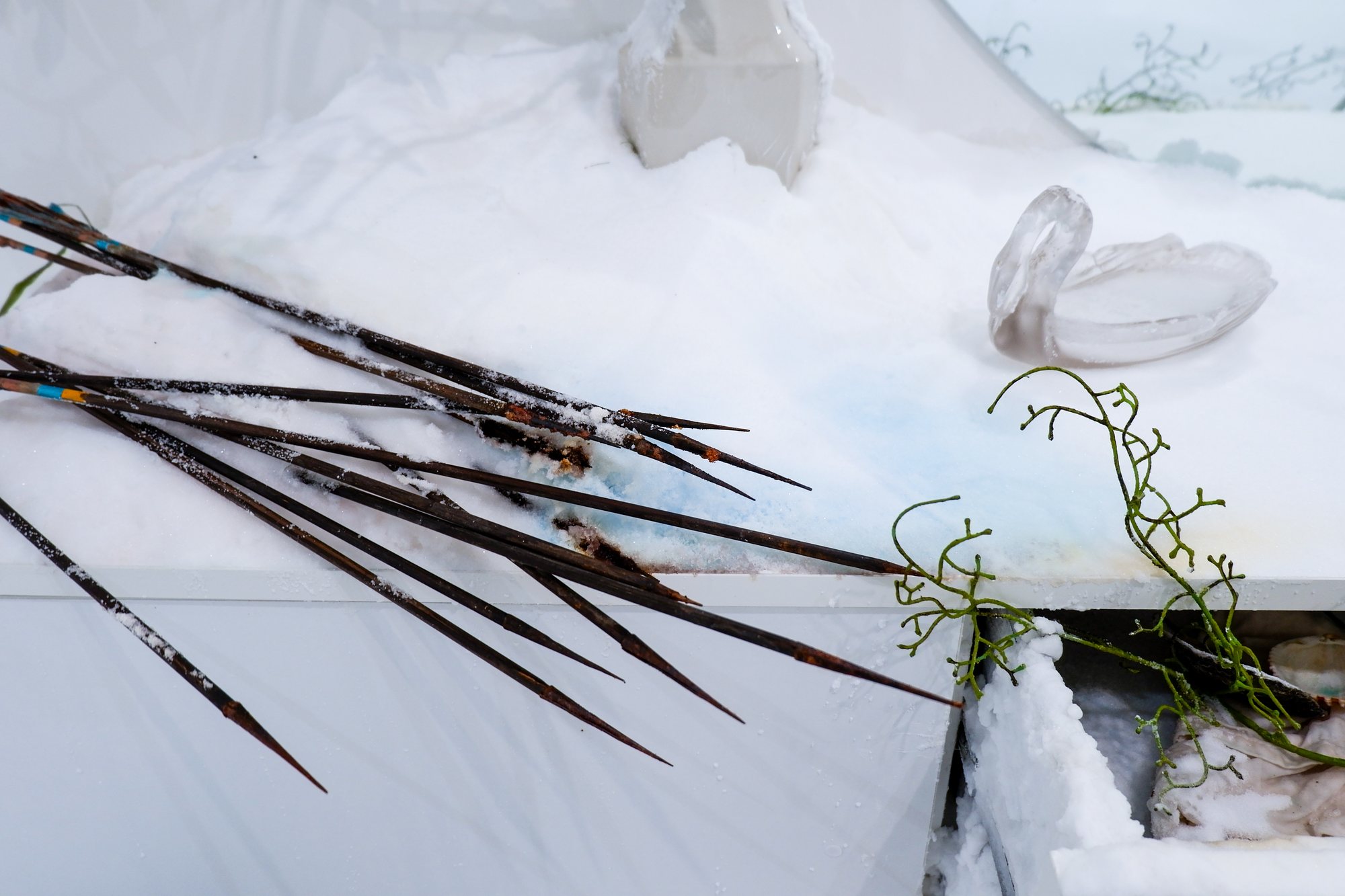 The Antechamber (Tundra Swan) — installation view
