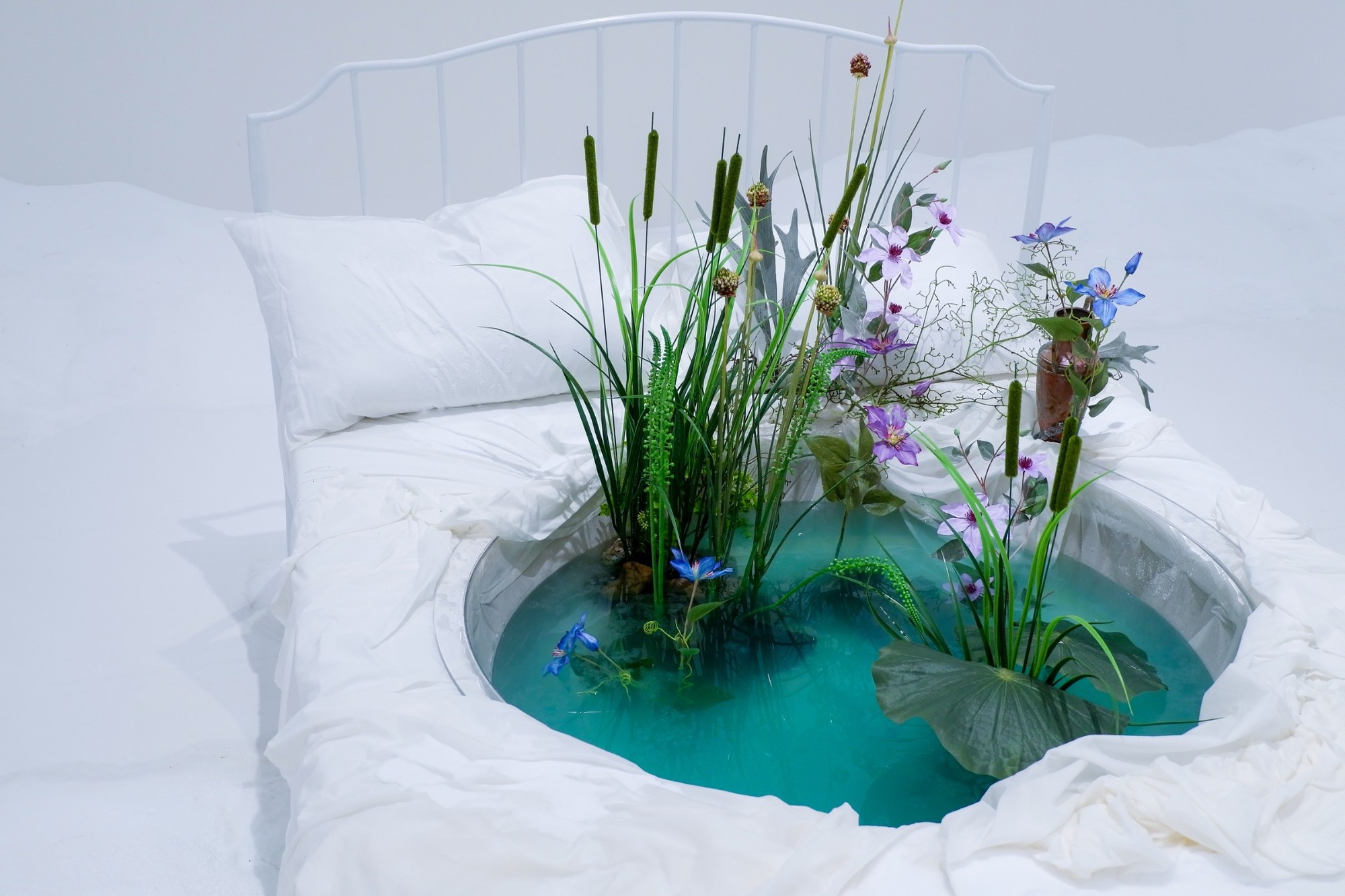 The Antechamber (Tundra Swan) — installation view