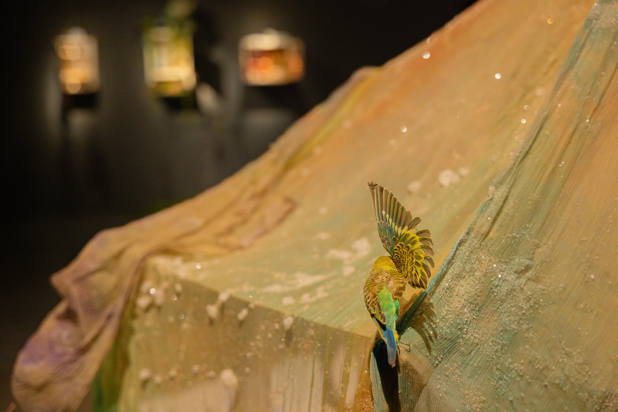 A Temporary Shelter for Permanent Conditions — installation view