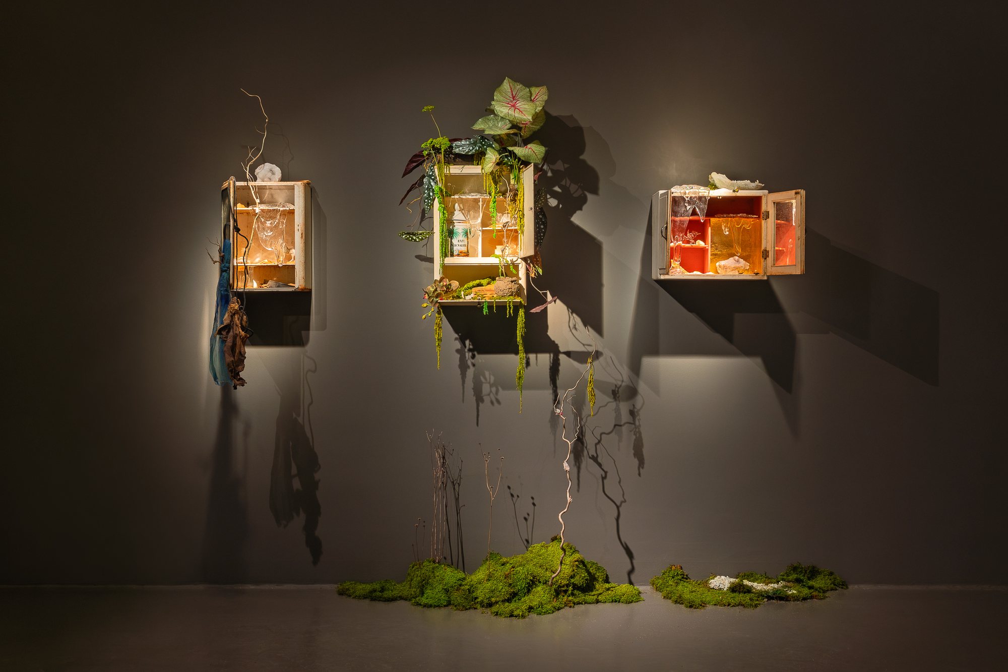 A Temporary Shelter for Permanent Conditions — installation view