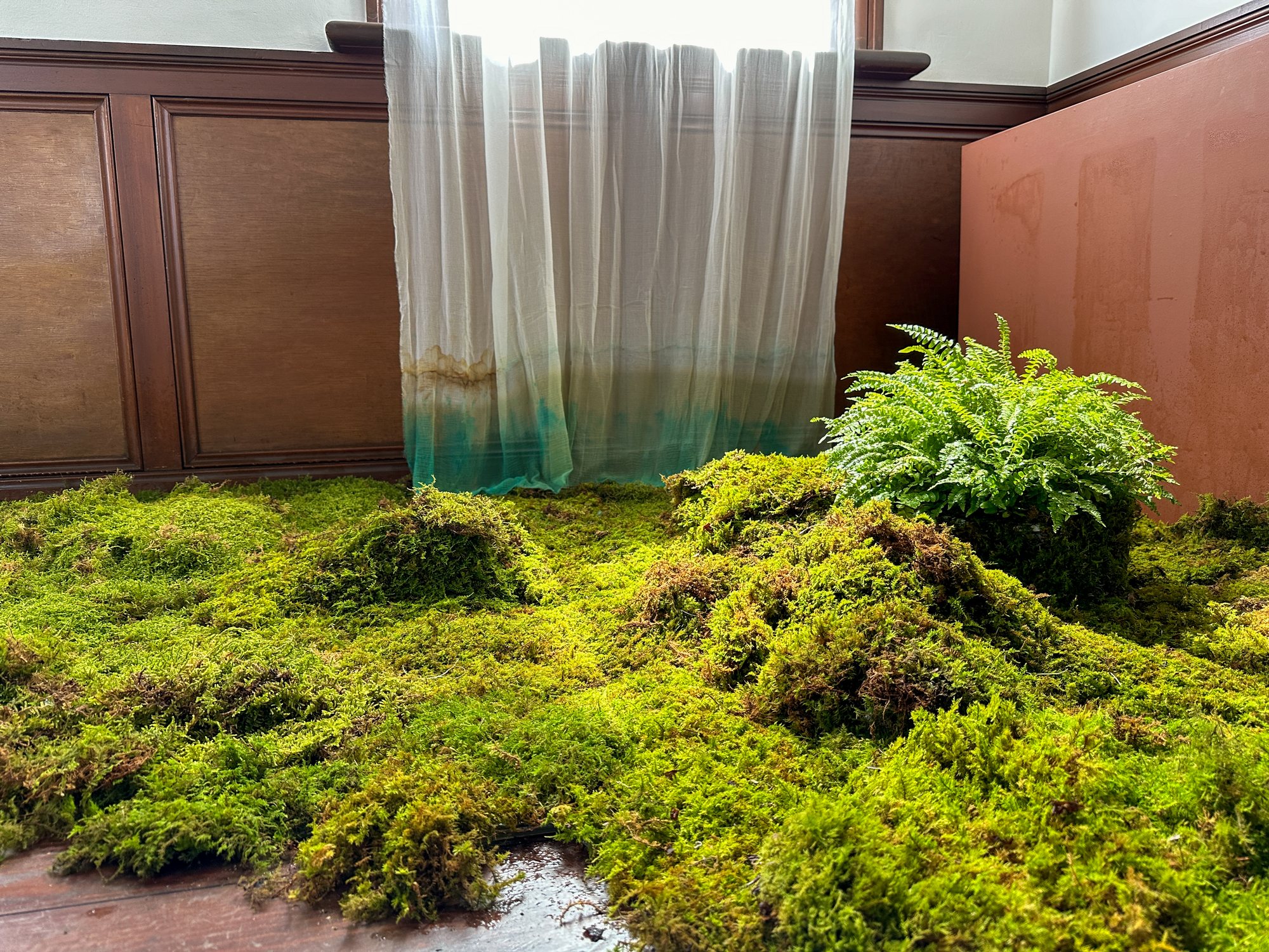 Forest Bathing — installation view