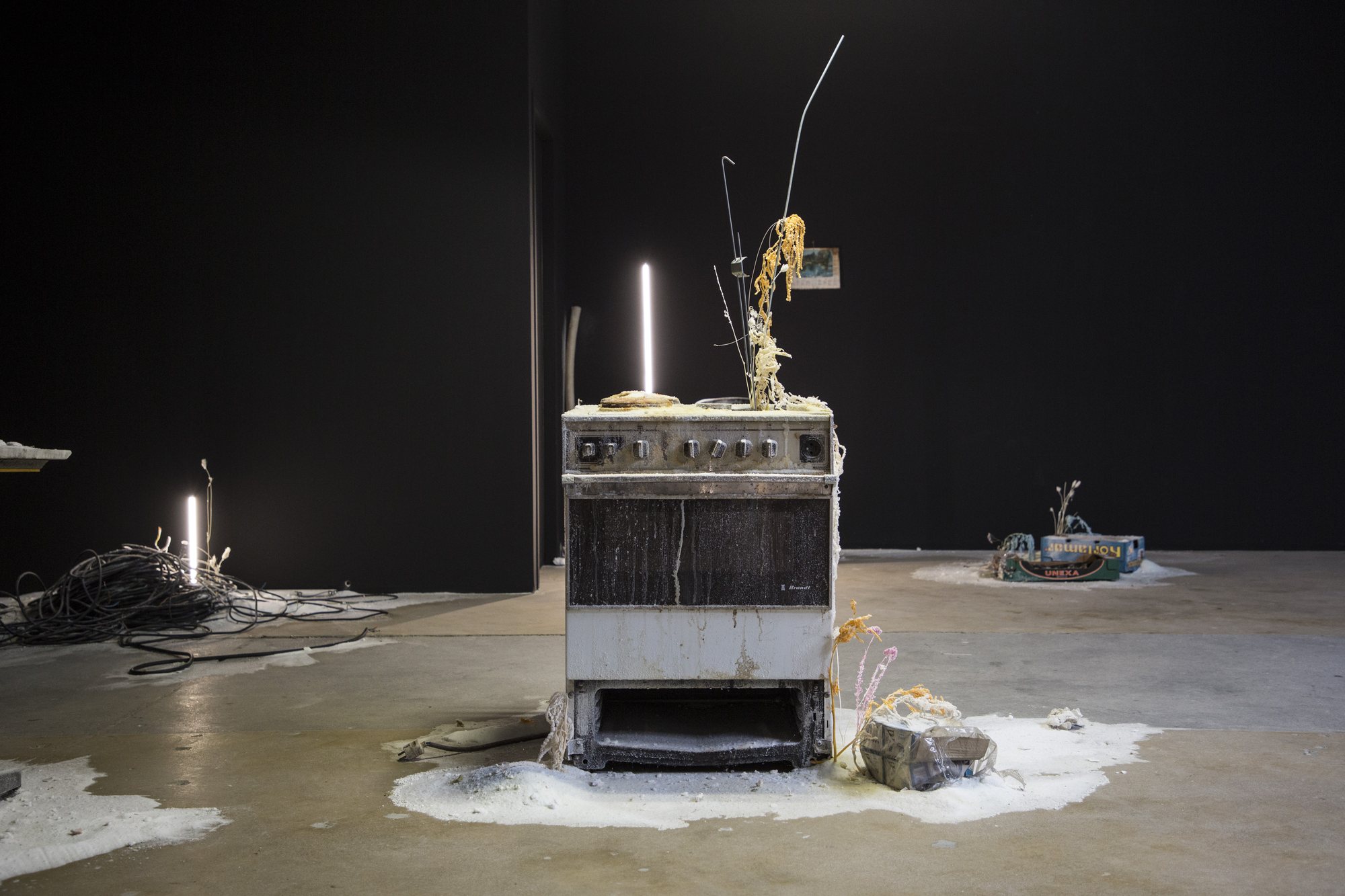 Vanilla Oxide — installation view