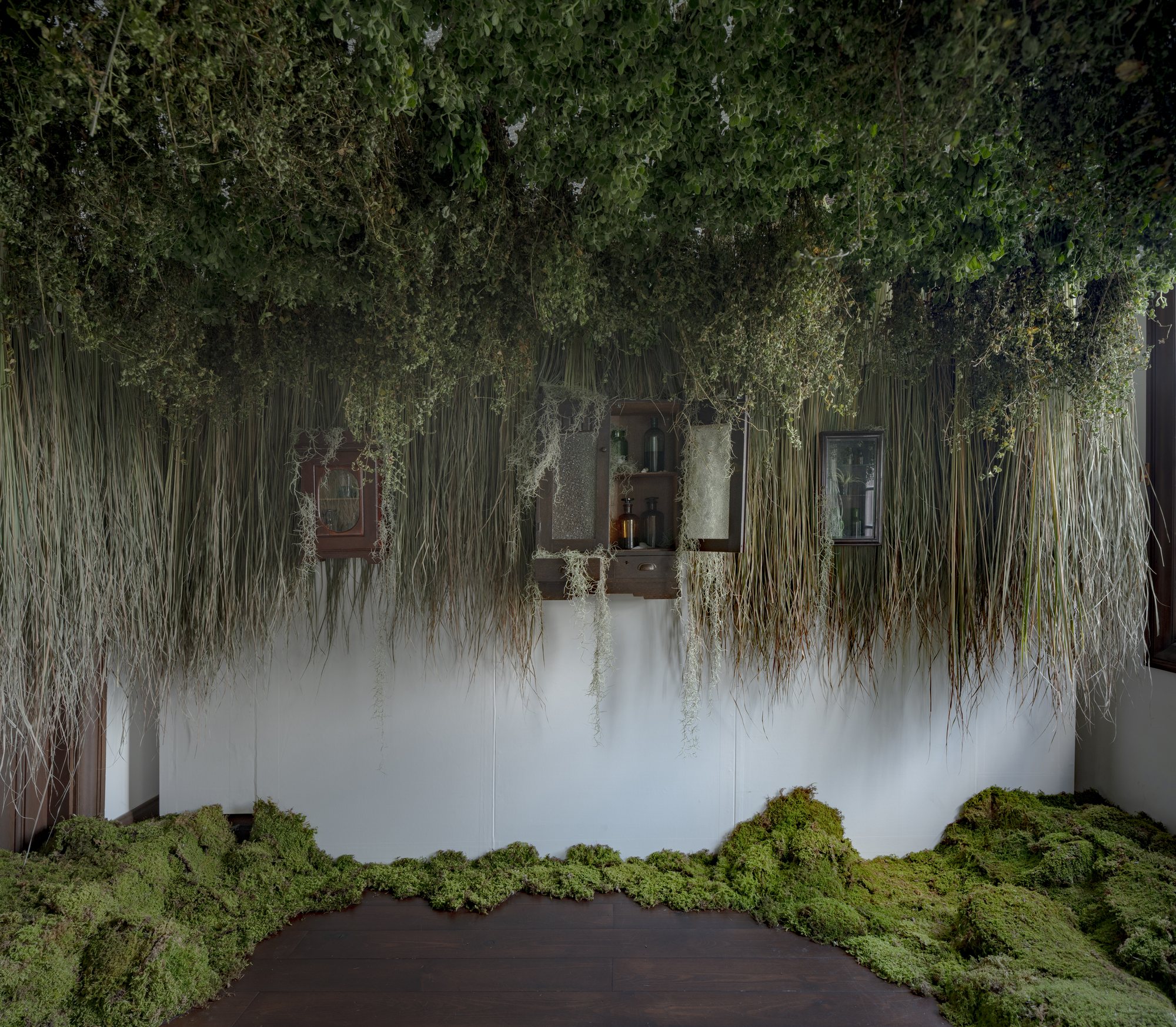 Forest Bathing — installation view