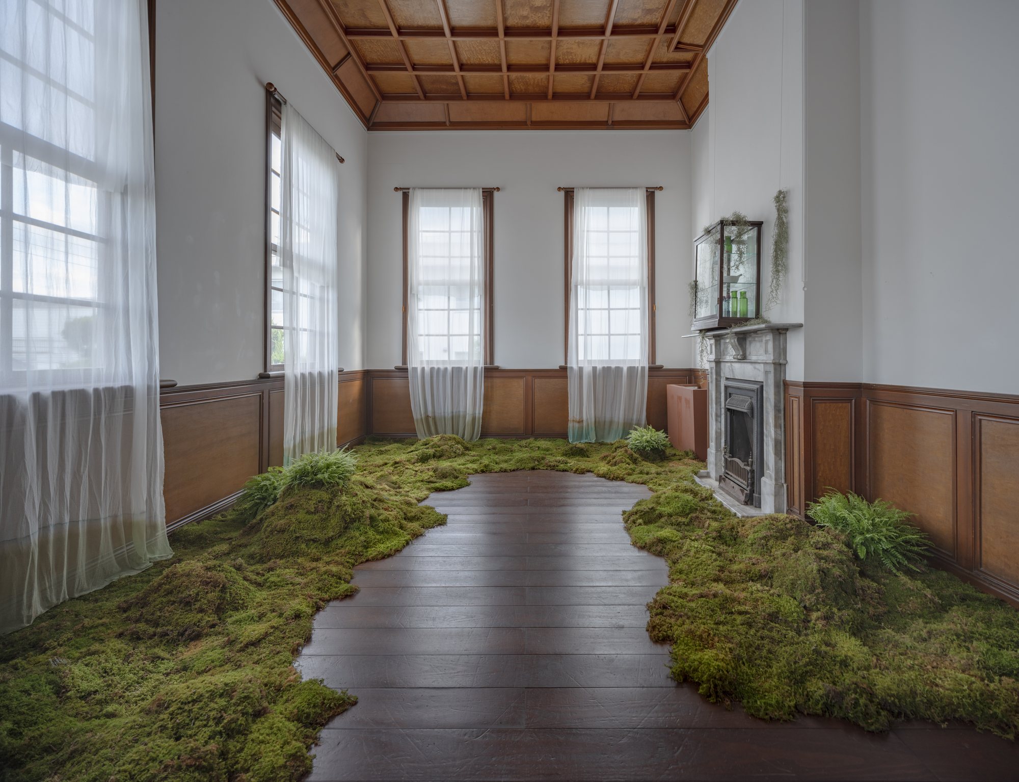 Forest Bathing — installation view