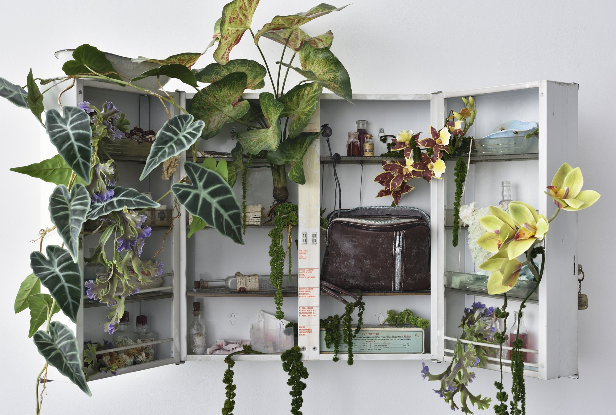 Milk of Amnesia — installation view
