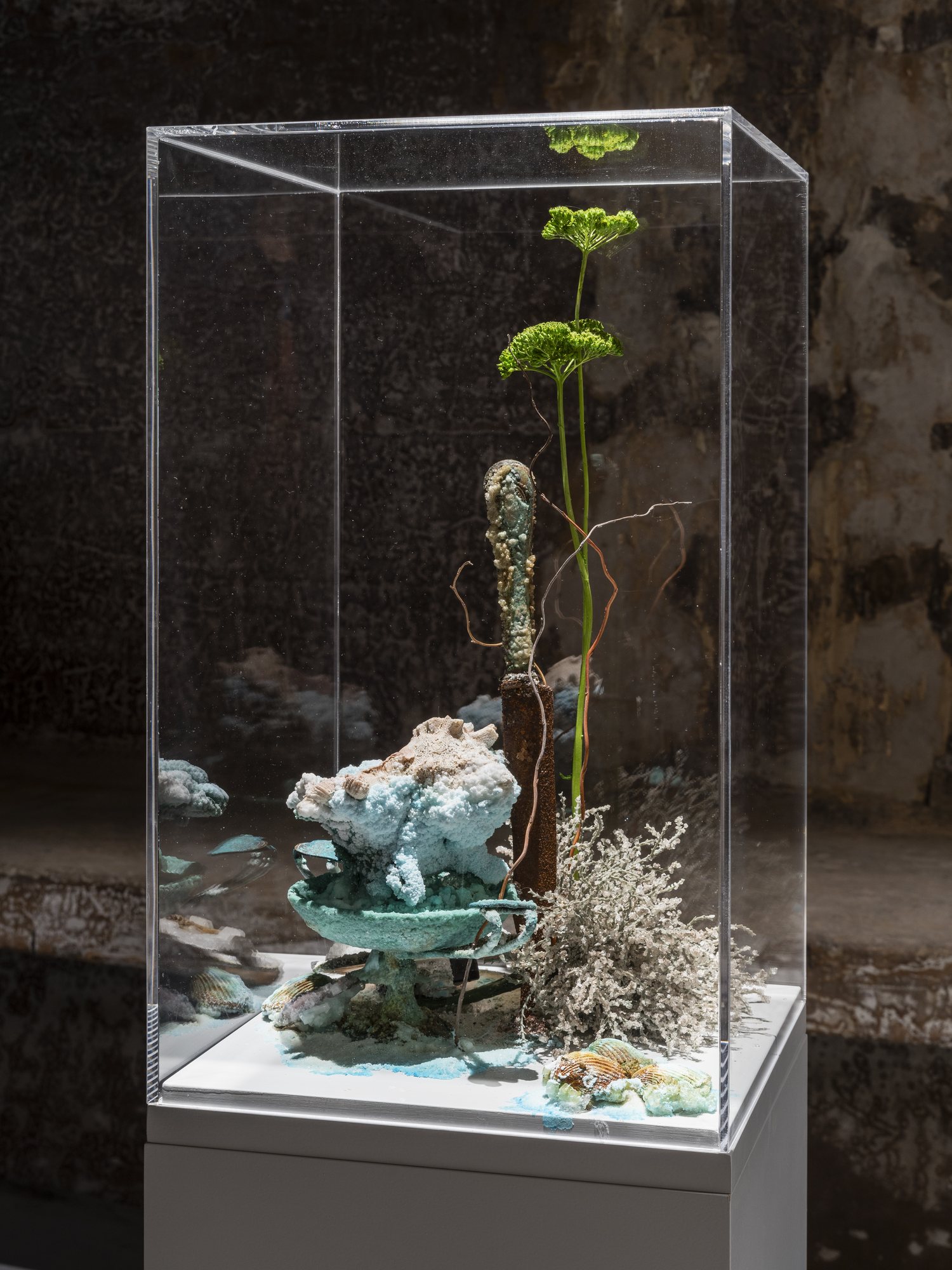 Underland Chapter 2: Climate of Concern — installation view